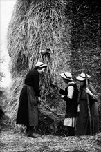 italie, toscane, paysannes au travail, 1910 1920