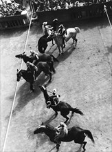 europa, italia, toscana, siena, cavalli alla partenza del palio, 1954