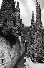 europa, italia, lombardia, moltrasio, veduta della scalinata dei cipressi, 1950