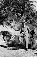 afrique, libye, portrait d'un homme sur un dromadaire, 1920 1930