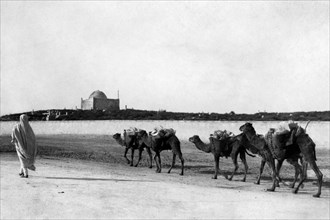 africa, libia, bengasi, carovana nel deserto con la città sullo sfondo, 1910 1920