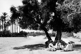 africa, libia, uomini a riposo presso un'oasi di tripoli, 1920 1930