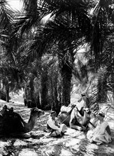 afrique, libye, arrêt à l'oasis d'agelat, 1910
