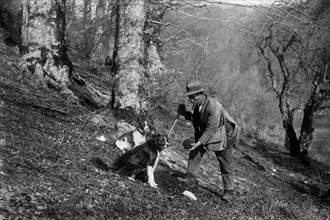 italie, campanie, bagnoli irpino, chasseur de truffes dans un bois avec ses chiens, 1930