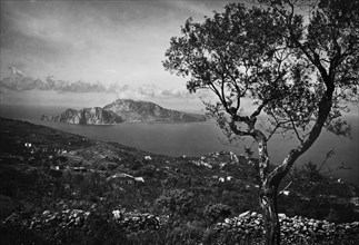 italia, campania, isola di capri veduta da sant'agata, 1955
