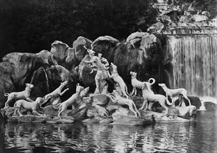 italia, campania, caserta, reggia di caserta, particolare della grande cascata, 1910
