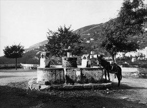 italia, campania, ravello, asino alla fonte, 1930