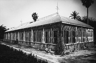 italie, sicile, palerme, la grande serre du jardin botanique, 1940