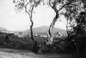 europe, italie, sicile, castelbuono, panorama, 1900 1910