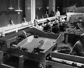 italie, sicile, catane, industrie alimentaire, transformation des fruits, années 1920