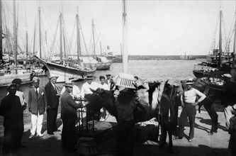 Europe, Italy, Sicily, Trapani, the island of Pantelleria, weighs grapes to the port, 1920-30