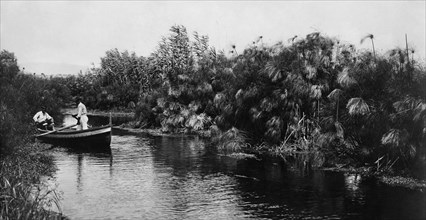 italia, sicilia, siracusa, il fiume anapo e con piante di papiri, 1910 1920