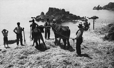 italia, sicilia, taormina, gruppo di agricoltori, sul fondo isola bella, 1920