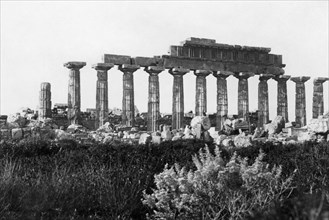 italia, sicilia, selinunte, il colonnamento settentrionale del tempio risollevato, 1900 1910