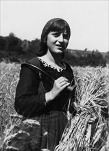 europa, italia, calabria, gioiosa ionica, mietitrice in un campo di grano, 1920 1930