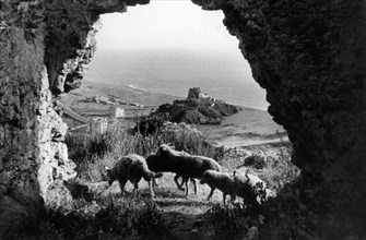 europa, italia, calabria, scalea, scorcio sulla torre talao dal castello normanno, 1940