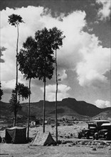 afrique, éthiopie, camp d'adigrat, 1920 1930