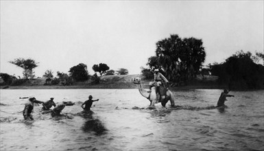 afrique, eritrea, gascon traversant le fleuve en crue, 1920-30