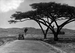 afrique, eritrea, asmara, la route de keren, près de amba derhò, 1920 1930