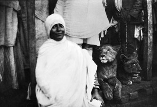 africa, etiopia, nobile donna in candidi vestiti, 1930