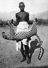 africa, etiopia, cattura di un leopardo, 1920 1930