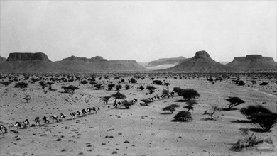 afrique, éthiopie, dancalie, vers le site d'aela, 1920 1930