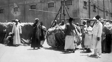 africa, egitto, alessandria d'egitto, pesatura del cotone, 1930
