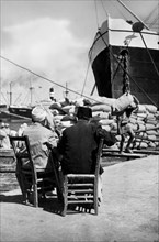 afrique, égypte, alexandrie, le port, 1930
