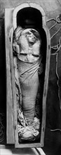 africa, egitto, necropoli di tebe, deir el-medina, mummia di merit, moglie di kha, 1906