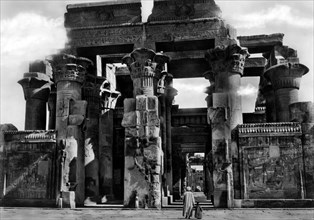 africa, egitto, luxor, il tempio kom ombo, 1920 1930