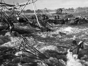 africa, congo belga, stanley falls, nasse di giunghi per la pesca, 1940