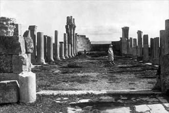 afrique, algérie, tebessa, vestiges de la grande basilique romaine, 1920
