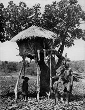 africa, kenya, una capanna sull'albero, 1930
