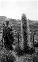 afrique, kenya, un homme indigène dans une végétation typique, 1930