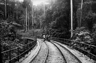afrique, congo belge, le long du chemin de fer congo - océan à travers la forêt équatoriale, 1935
