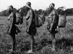 africa, congo belga, donne pigmee mangbetu a testa deformata, 1927 1930