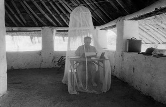 afrique, nigeria, un journaliste travaille protégé par une moustiquaire, 1920