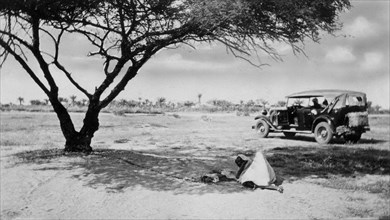 afrique, soudan, homme considéré comme fou et attaché à un arbre, 1920 1930