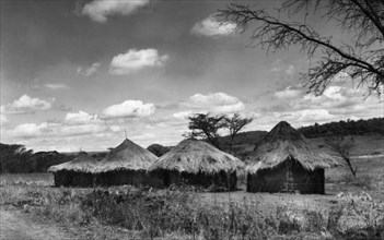 afrique, afrique du sud, zululand, un village kraal, 1927
