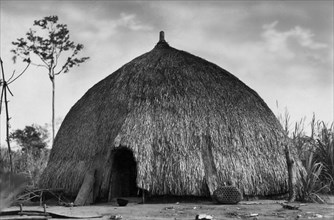 afrique, afrique du sud, zululand, hutte d'un chef de kraal, 1927