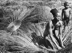 africa, sud africa, zululand, fabbricatrice di ceste, 1920 1930