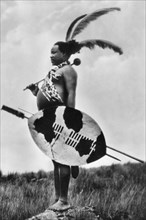 africa, sud africa, zululand, un guerriero zulu, 1935