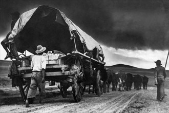 africa, sud africa, trasferimento sotto al temporale, 1920 1930