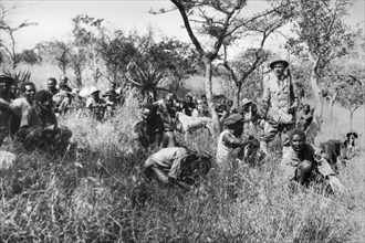 afrique, afrique du sud, zululand, se reposant après une partie de chasse, 1930