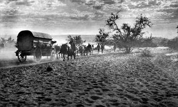 afrique, afrique du sud, convoi de wagons, 1920 1930