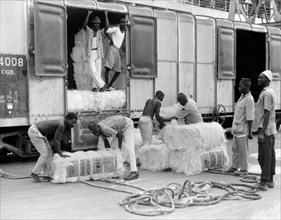 africa, tanzania, dar el salaam, balle di sisal vengono caricate sui treni, 1950