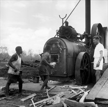 africa, tanzania, progetto arachide, vecchio macinino con motore a legna per azionare la sega, 1940 1950