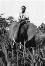 africa, sud africa, zululand, l'elefante come mezzo di trasporto, 1920 1930