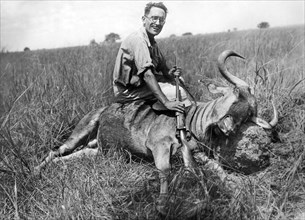 afrique, rhodésie du nord, explorateur avec une grande antilope qu'il a abattue, années 1920 1930