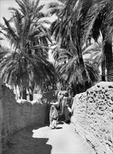 africa, tunisia, una strada, 1920 1930